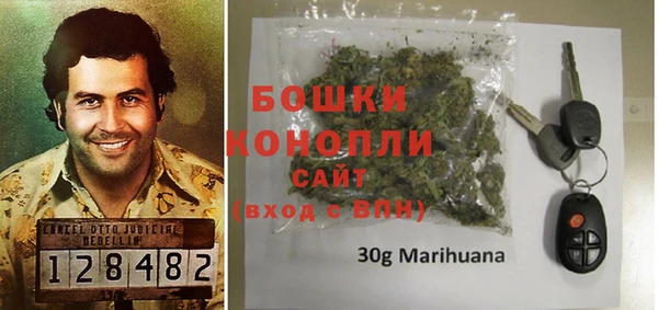сатива Аркадак