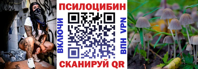 Галлюциногенные грибы Psilocybine cubensis  Усолье 